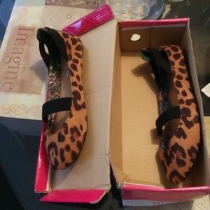 Animal Print flat
